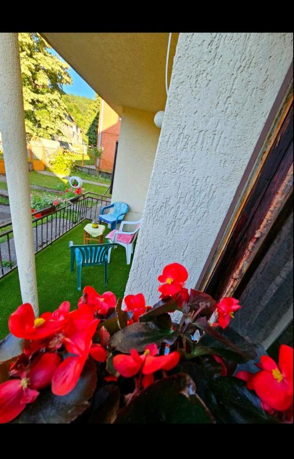 Petra Appartement